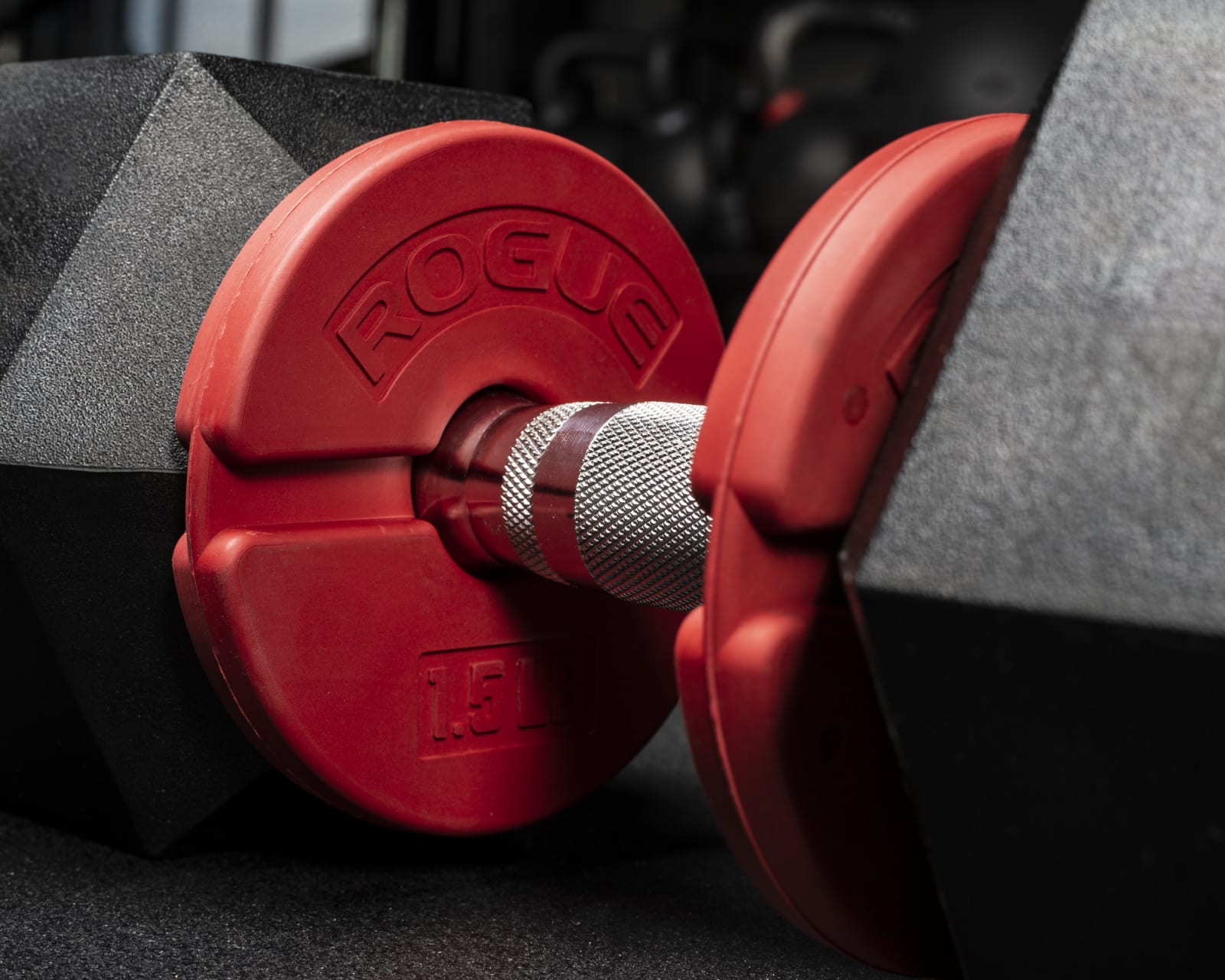 Rogue clearance dumbbell plates